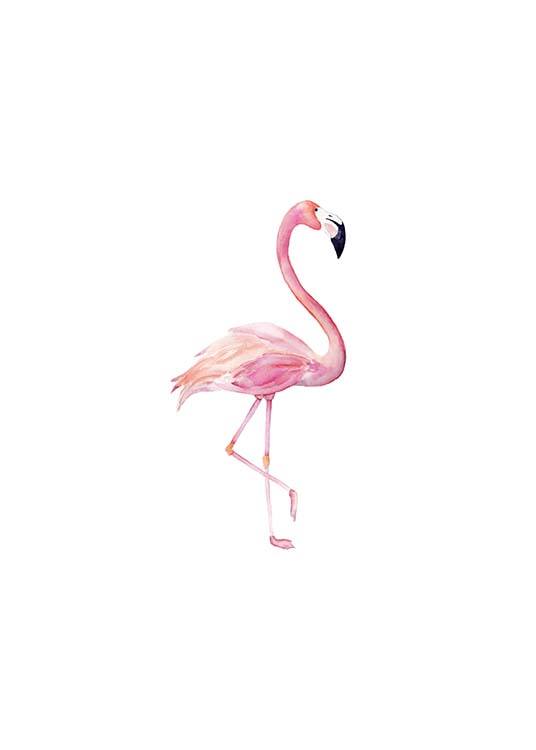 Flamingo Aquarelle Poster