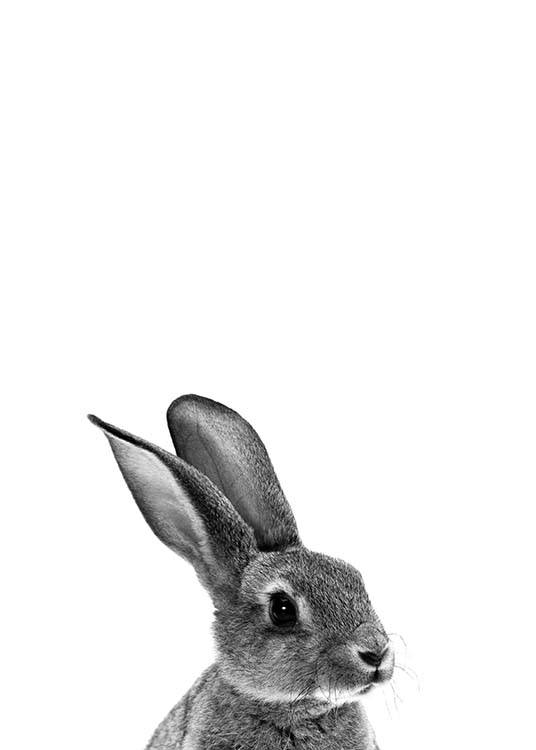 Grey Bunny Poster / Quadri per bambini presso Desenio AB (2302)