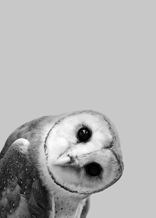 Owl Peekaboo Poster / Quadri per bambini presso Desenio AB (2573)