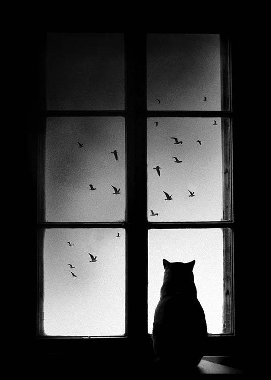 Cat In Window Poster / Bianco e nero  presso Desenio AB (2675)