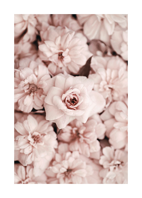 Bed Of Flowers Poster / Fotografia presso Desenio AB (2786)
