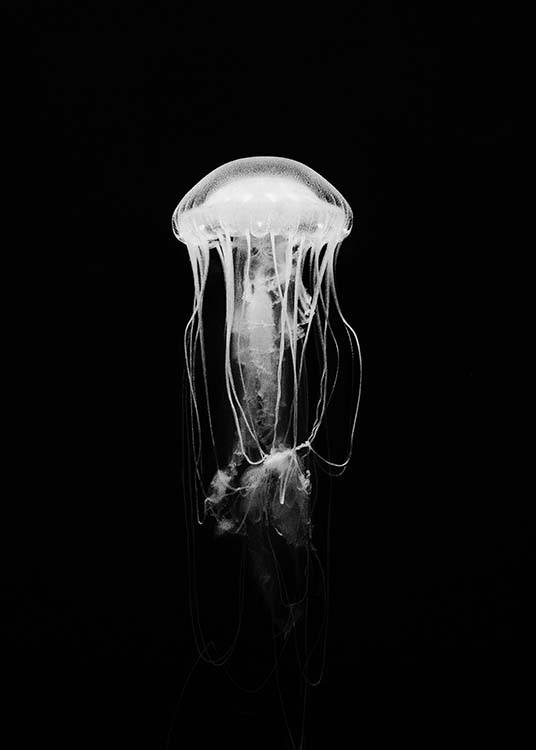Jellyfish B&W Poster / Bianco e nero  presso Desenio AB (2917)