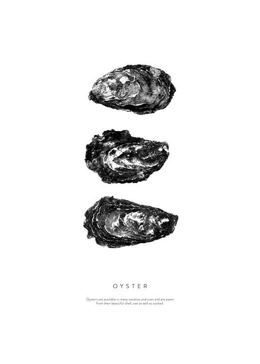 Oyster Three Poster / Bianco e nero  presso Desenio AB (3165)