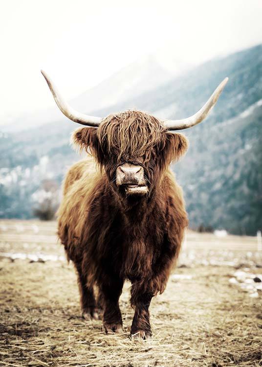  – Fotografia di una mucca Highlander marrone in un prato con un paesaggio montano alle spalle