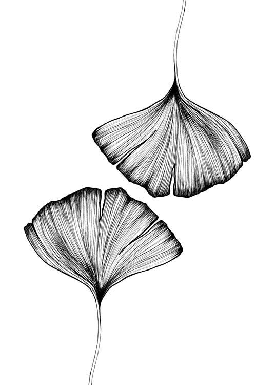 Ginkgo Leaves Poster / Bianco e nero  presso Desenio AB (3600)