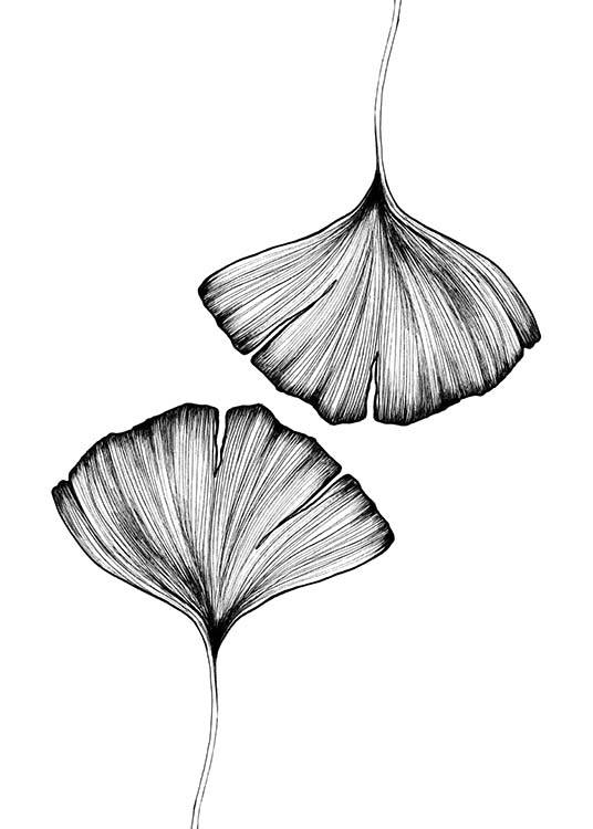Ginkgo Leaves Poster