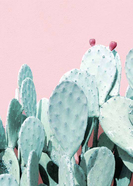 Pastel Cactus No3 Poster