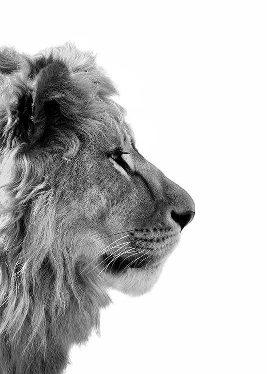  – Fotografia in bianco e nero di un leone di profilo
