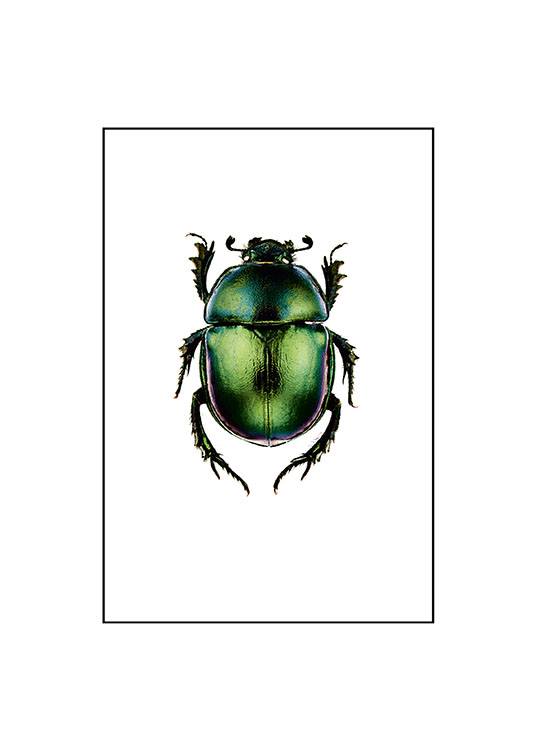 Beetle Small Poster / Vintage presso Desenio AB (7430)