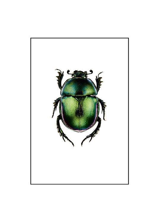 Beetle Small Poster
