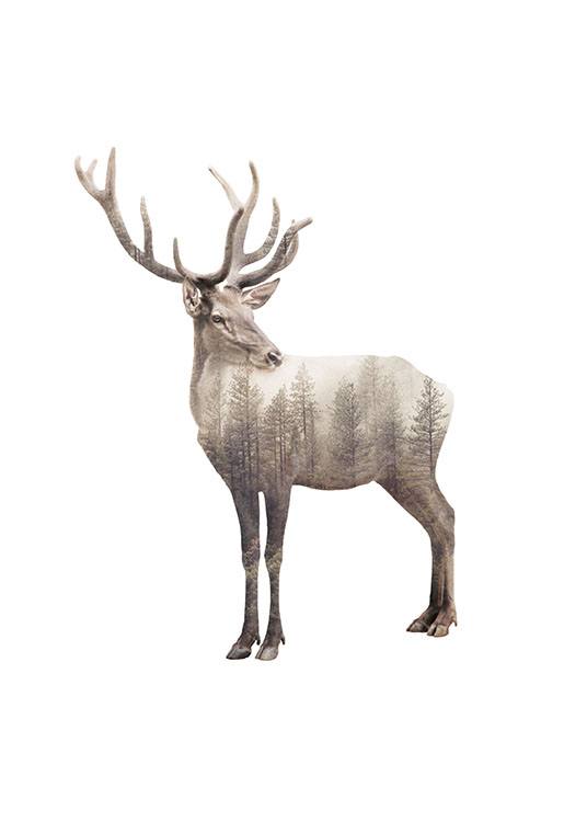 Forest Deer Poster / Animali selvaggi presso Desenio AB (8159)