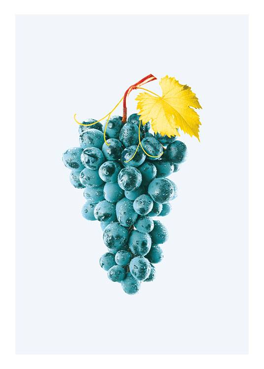 Blue Grapes Poster