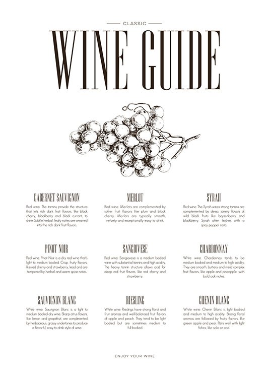 Wine Guide Poster