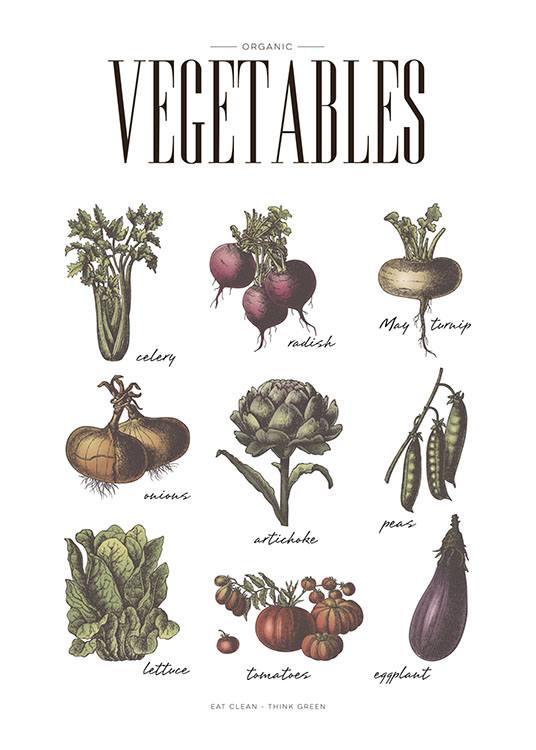 Vegetables Poster