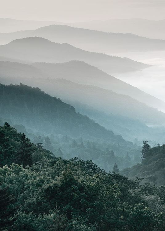  – Fotografia di un paesaggio boschivo con montagne e nebbia sullo sfondo