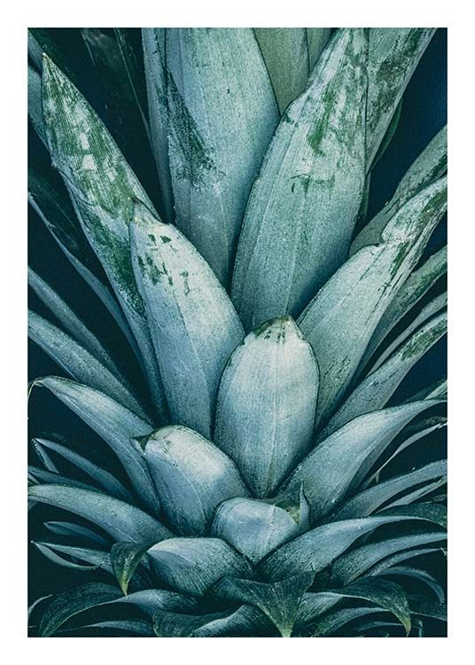 Pineapple Crown Poster / Poster per la cucina presso Desenio AB (8811)