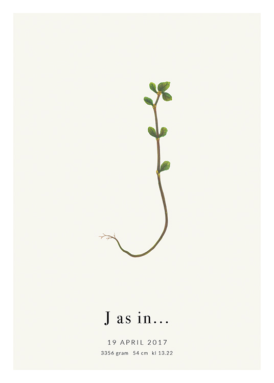  – Lettera J riprodotta con un piccola pianta e un testo al fondo