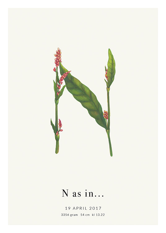  – Lettera N riprodotta con fiori rossi e foglie verdi e un testo al fondo
