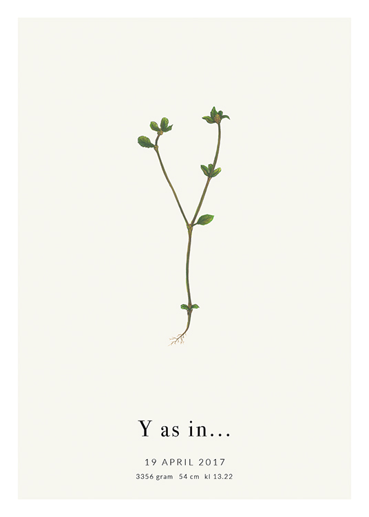  – Lettera Y riprodotta con una pianta e un testo al fondo