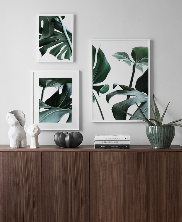 deco botánica con monstera
