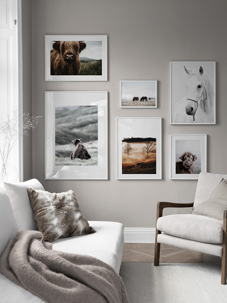 Postrers di animali di Desenio